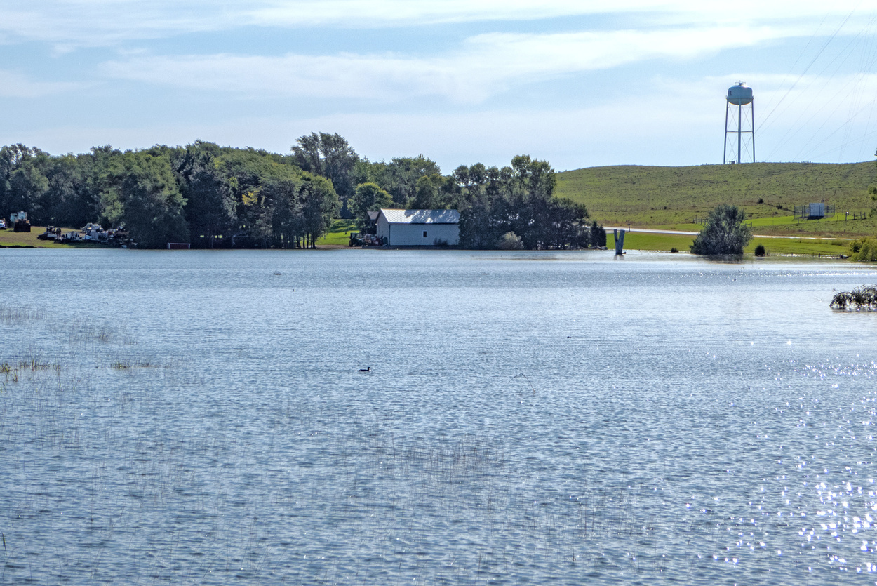 Flooded Field