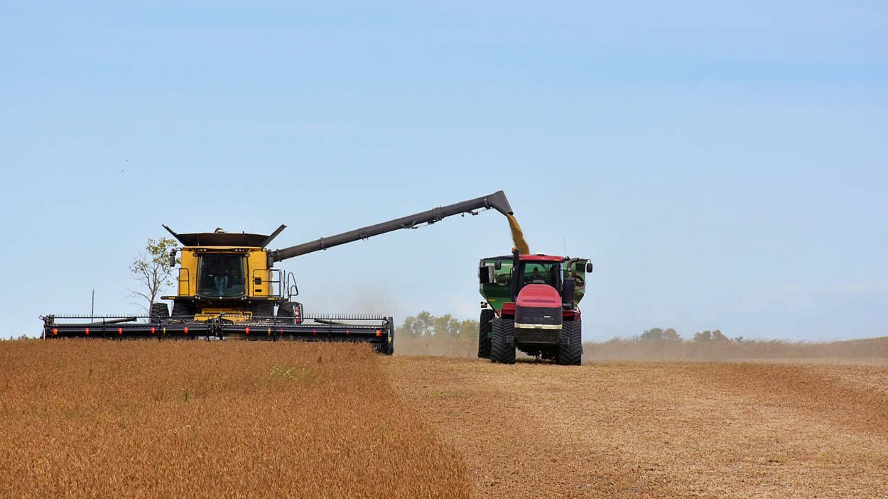 Harvest 1