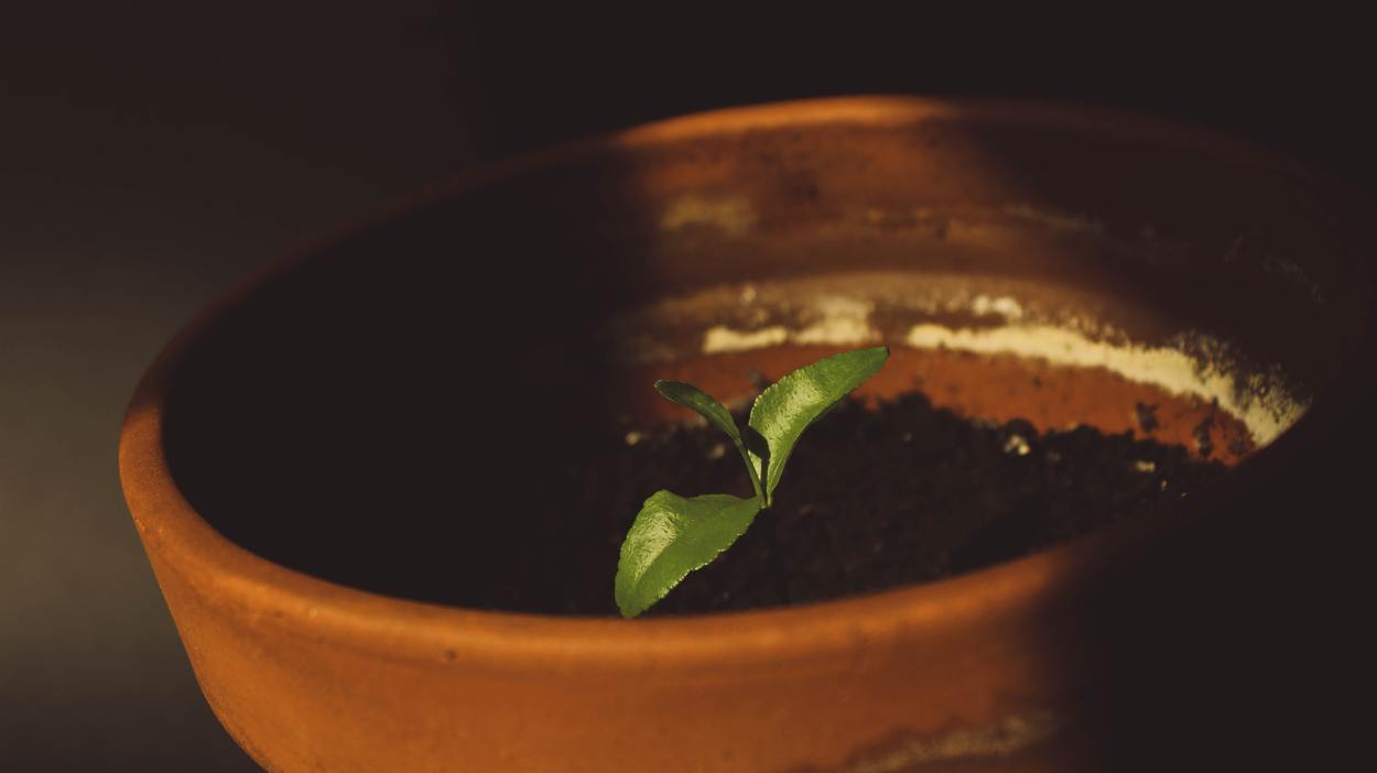 Manuel Sardo 9u4xbvsevfo Unsplash
