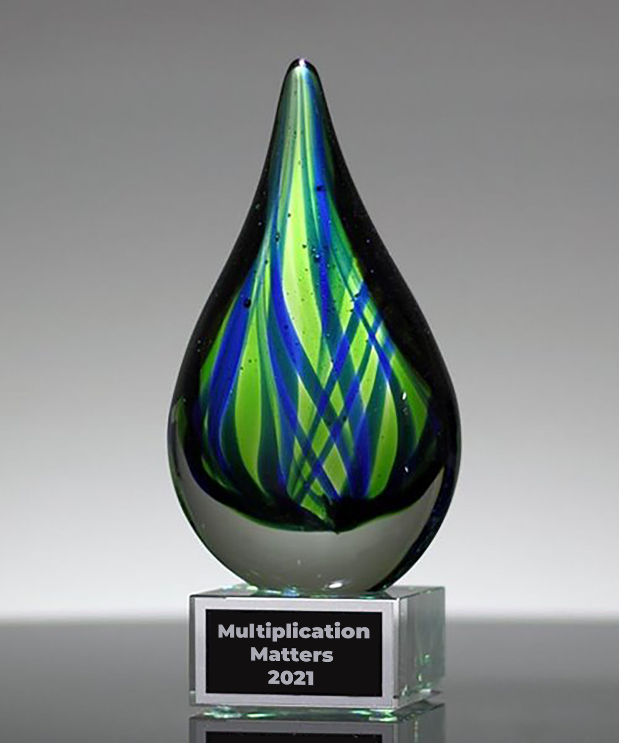 Multiplication Matters Award