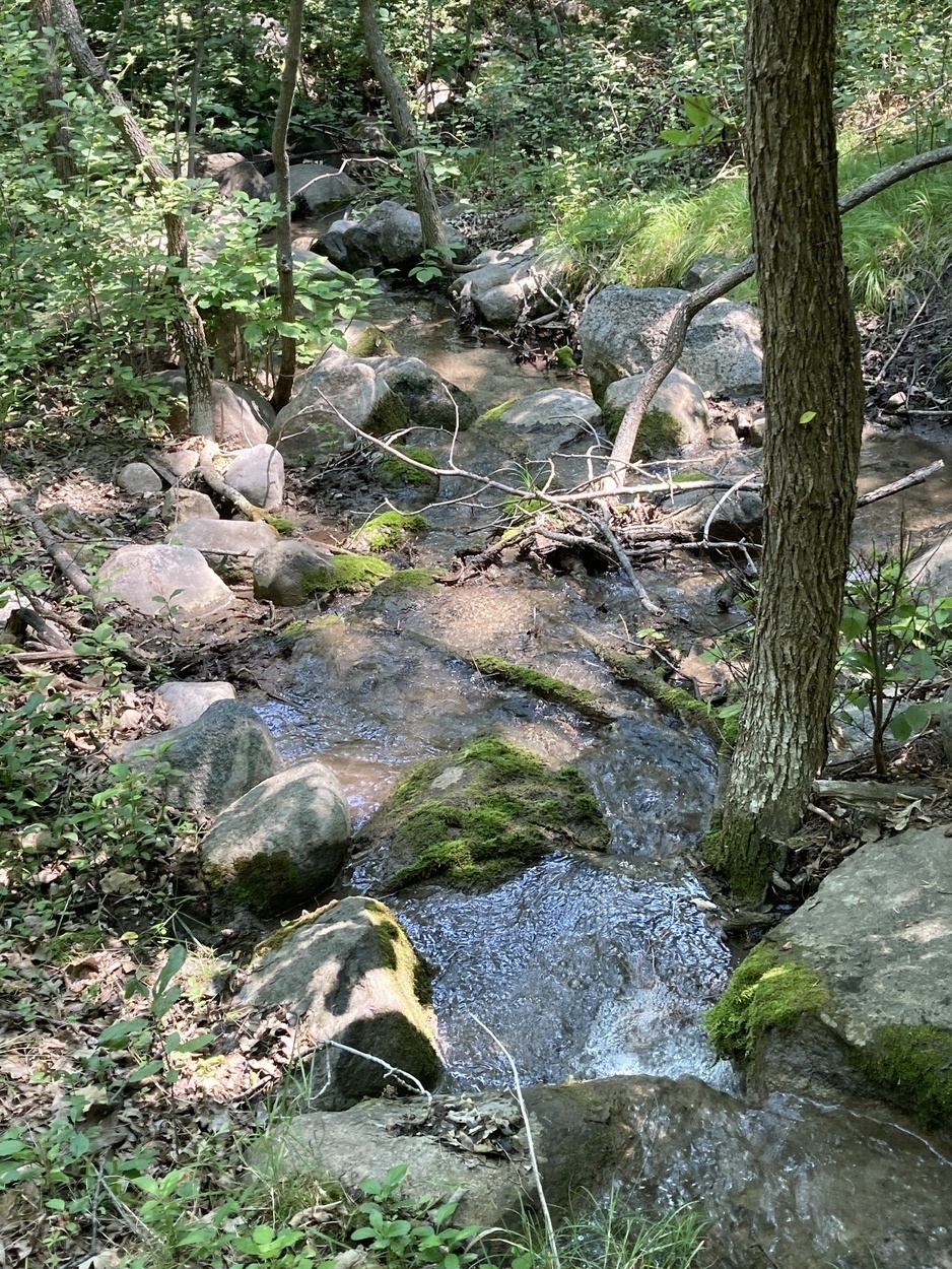 Stream 03