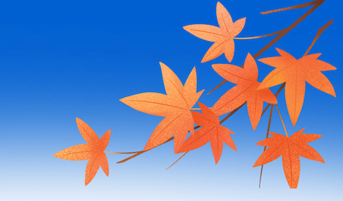 Fall Graphic