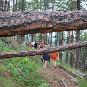 Storm Mountain Center logo